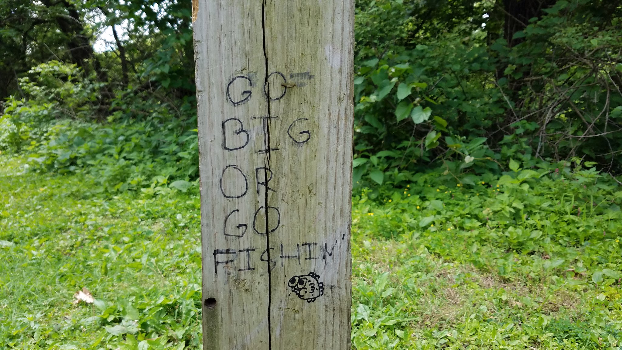 Closeup of a cracked, grayish brown wooded post surround by grass with some brush in the background. Written on the post in permanent marker are the words: "Go big or go fishin". There is also a cartoony drawing of a fish with big cheeks, big eyes, and plewds.