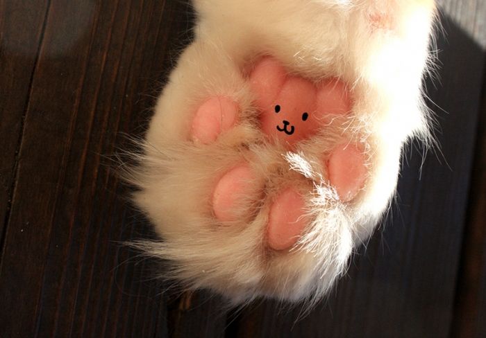 Teddy beans.