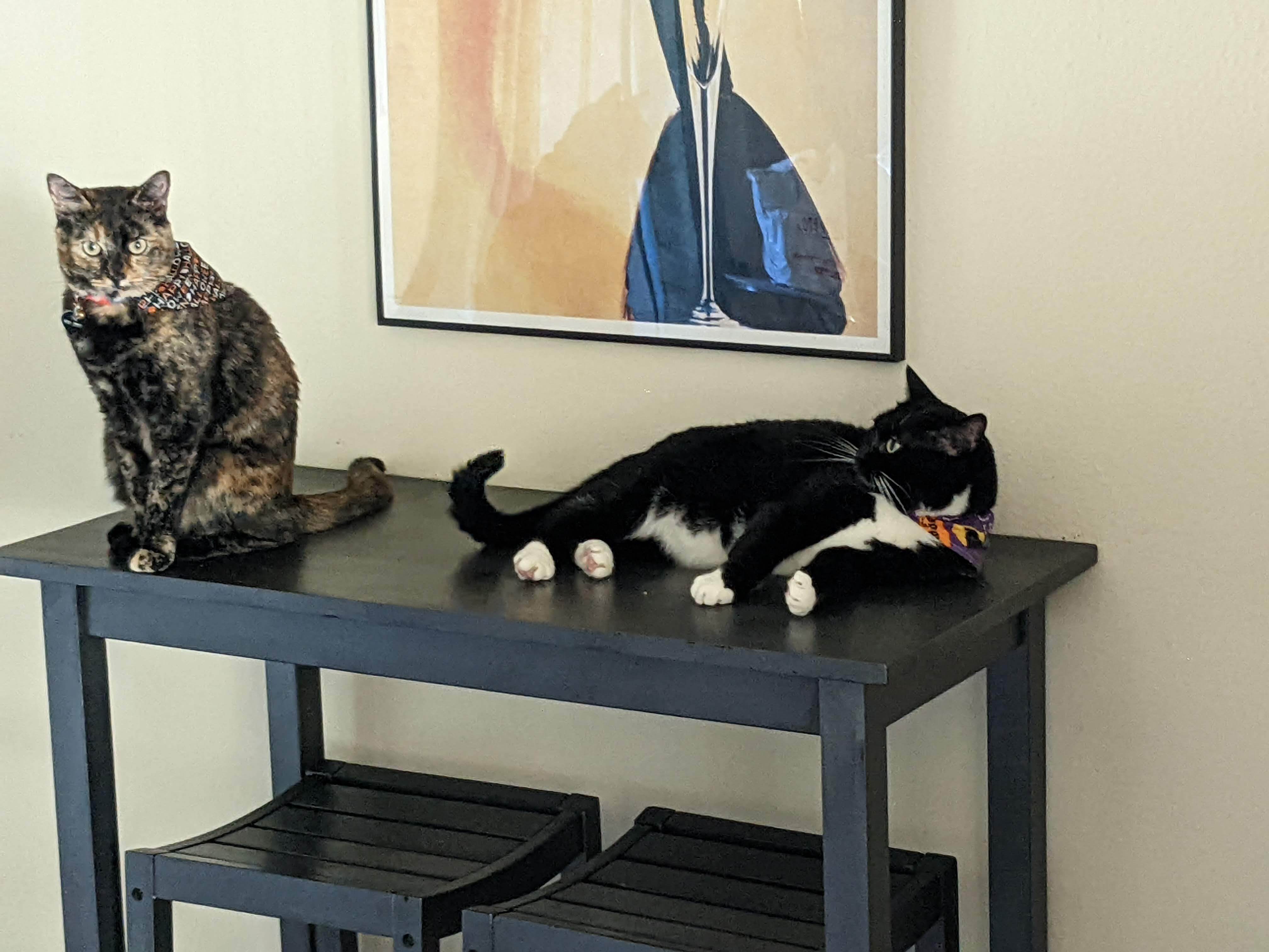 Precious and Vicious