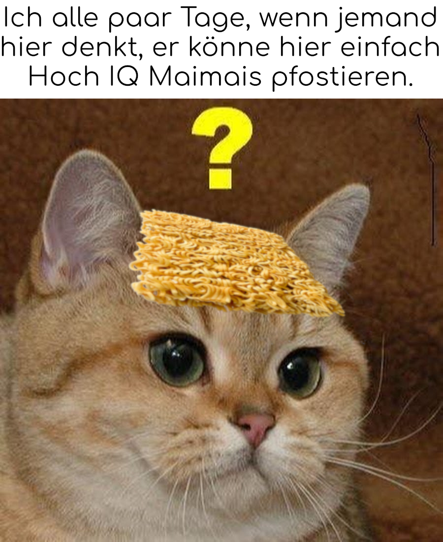 Ich Meme. Die Memeüberschrift lautet: "Ich alle paar Tage, wenn jemand hier denkt, er könne hier einfach Hoch IQ Maimais pfostieren." darunter ist ein Bild einer verwirrten Katze zu sehen.