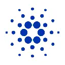 Cardano